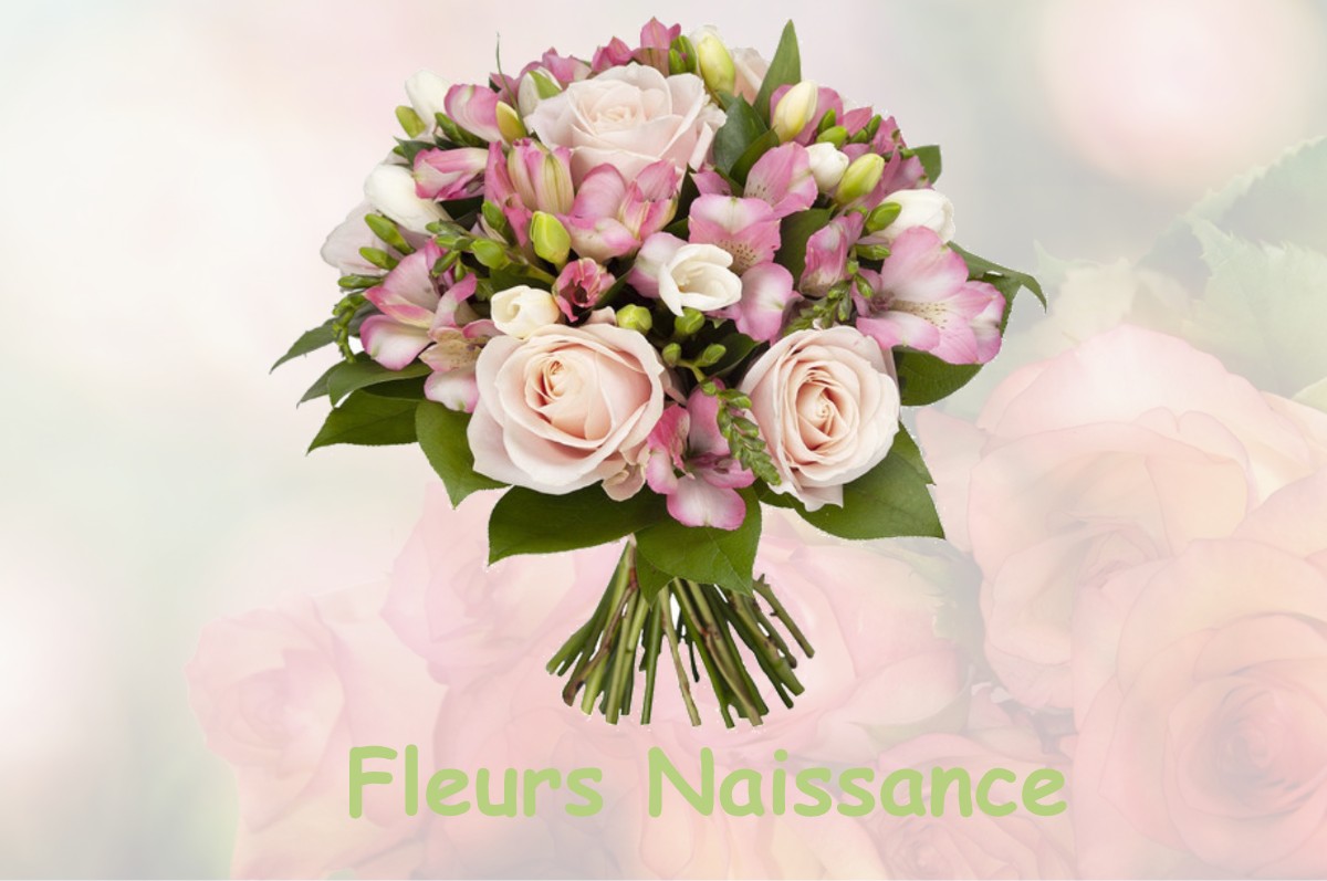 fleurs naissance VULVOZ