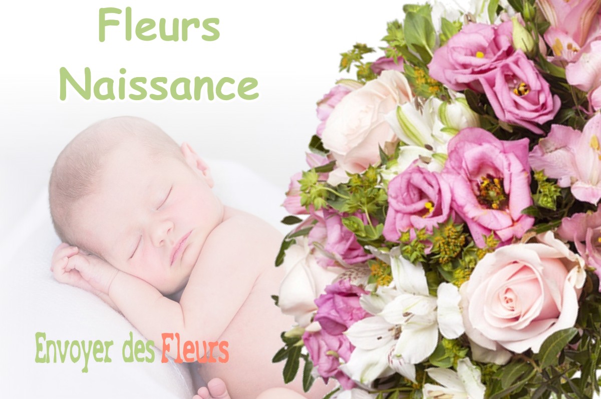 lIVRAISON FLEURS NAISSANCE à VULVOZ